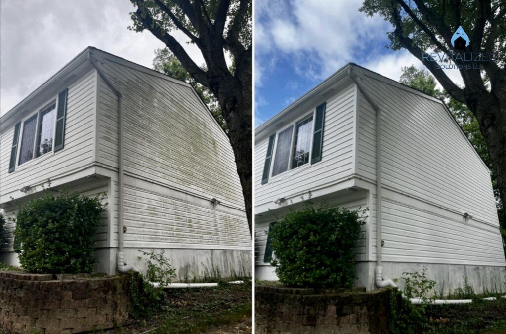 Services 1 Revitalized Solutions LLC Power Washing & Soft Washing