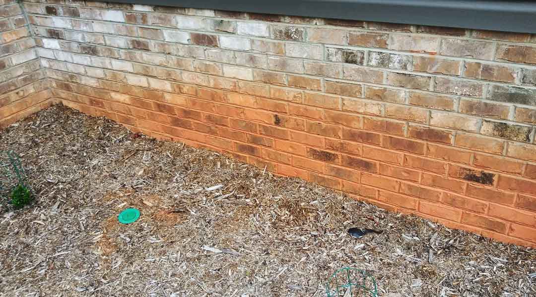 Clay stain removal services